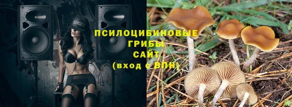 прущая мука Арсеньев