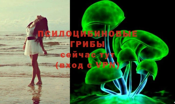 прущая мука Арсеньев